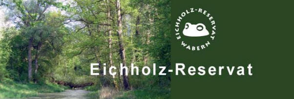 Spannende Ausstellungen um das Thema Natur und Biotope. Räume für Schulen zu vermieten! >>> Hier klicken für Kontakte!